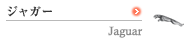 �W���K�[�@Jaguar